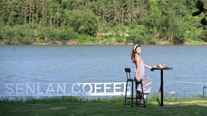 Complete Coffee Industrial Chain Thrives in S China's Jiangmen - News Directory 3