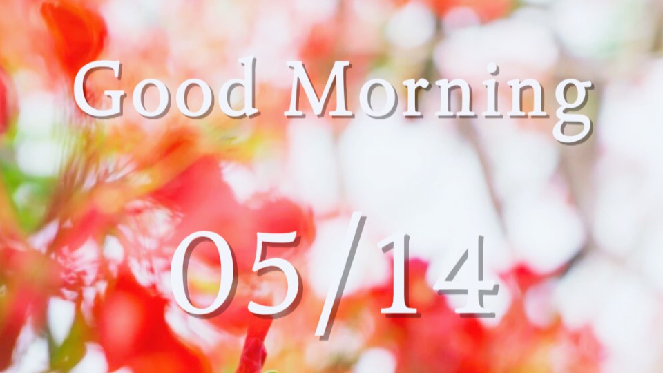A touch of crimson, a half-day’s leisure | South – Guangdong News